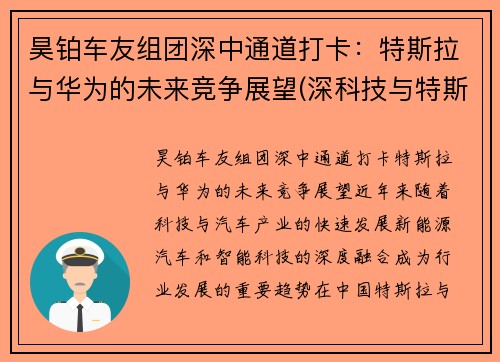 昊铂车友组团深中通道打卡：特斯拉与华为的未来竞争展望(深科技与特斯拉合作)