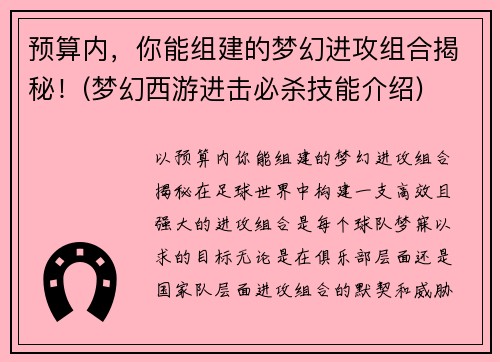 预算内，你能组建的梦幻进攻组合揭秘！(梦幻西游进击必杀技能介绍)